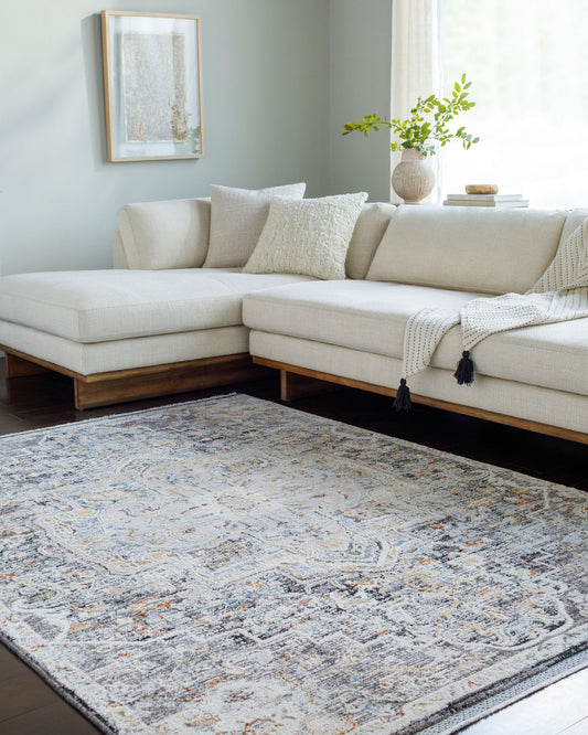 Rivaldo RVD-2301 8' x 10' Machine Woven Area Rug