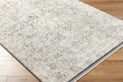 Rivaldo RVD-2302 8' x 10' Machine Woven Area Rug