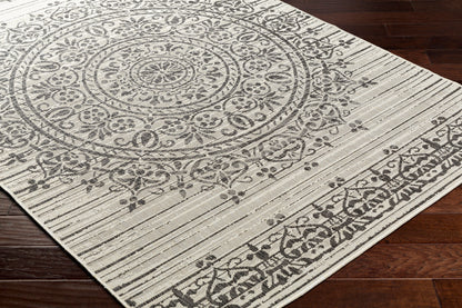 Ravello RVL-2332 2' x 3' Machine Woven Indoor/Outdoor Accent Rug