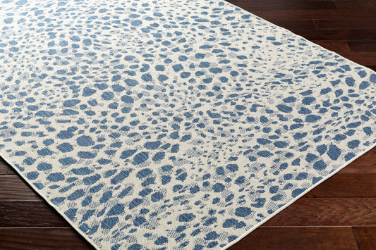 Ravello RVL-2354 5' x 7' Machine Woven Indoor/Outdoor Area Rug