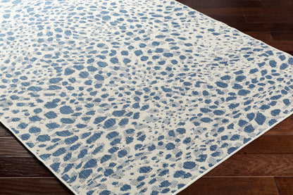 Ravello RVL-2354 6' x 9' Machine Woven Indoor/Outdoor Area Rug