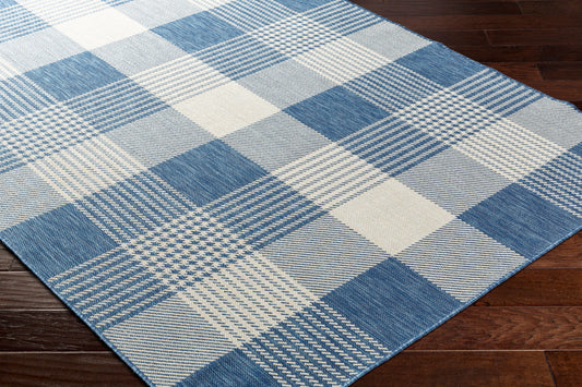 Ravello RVL-2369 2' x 3' Machine Woven Indoor/Outdoor Accent Rug