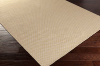 2' x 3'