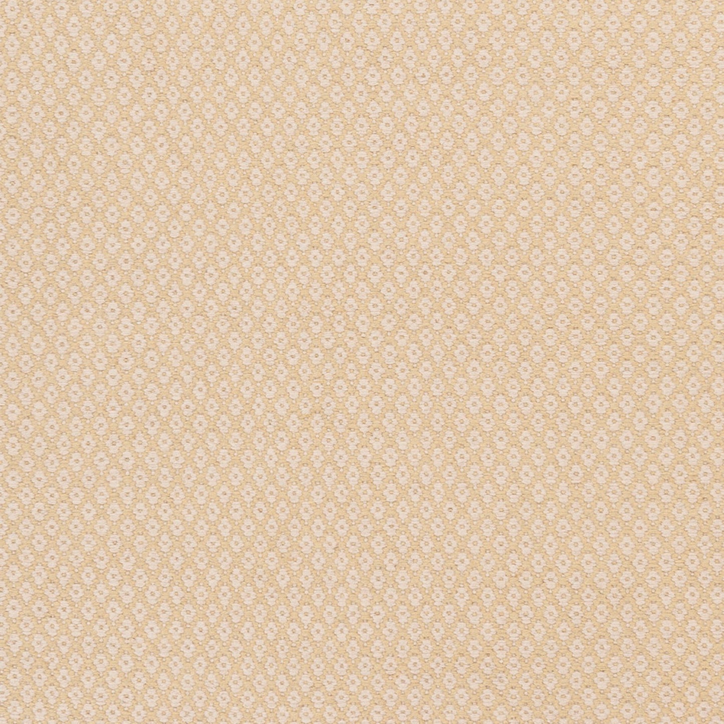 Ravena RVN-3116 2' x 3' Handmade Wool Accent Rug