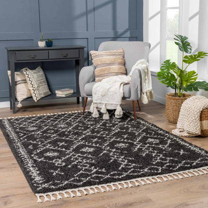Berber Shag BBE-2308 Machine Woven Rug
