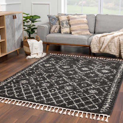 Berber Shag BBE-2308 Machine Woven Rug
