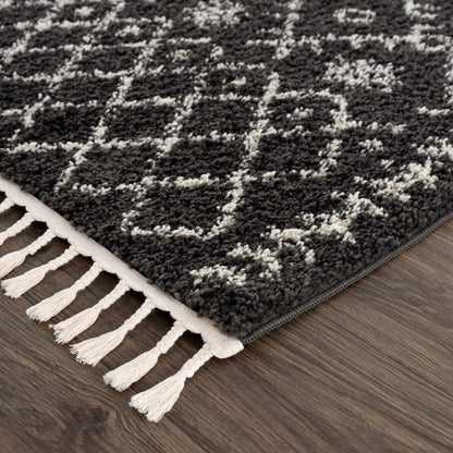 Berber Shag BBE-2308 Machine Woven Rug