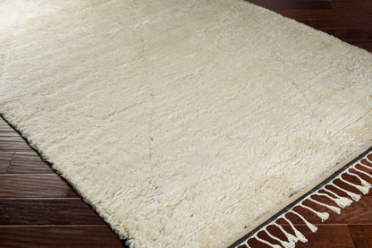 Sahara SAH-2302 6' x 9' Handmade Wool Area Rug