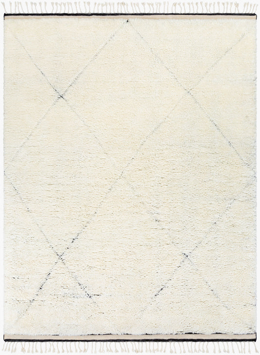 Alfombra de lana hecha a mano Sahara SAH-2302 de 8' x 10'