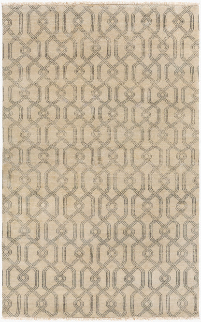 Alfombra de lana hecha a mano Stanton SAO-2006 de 4' x 6'
