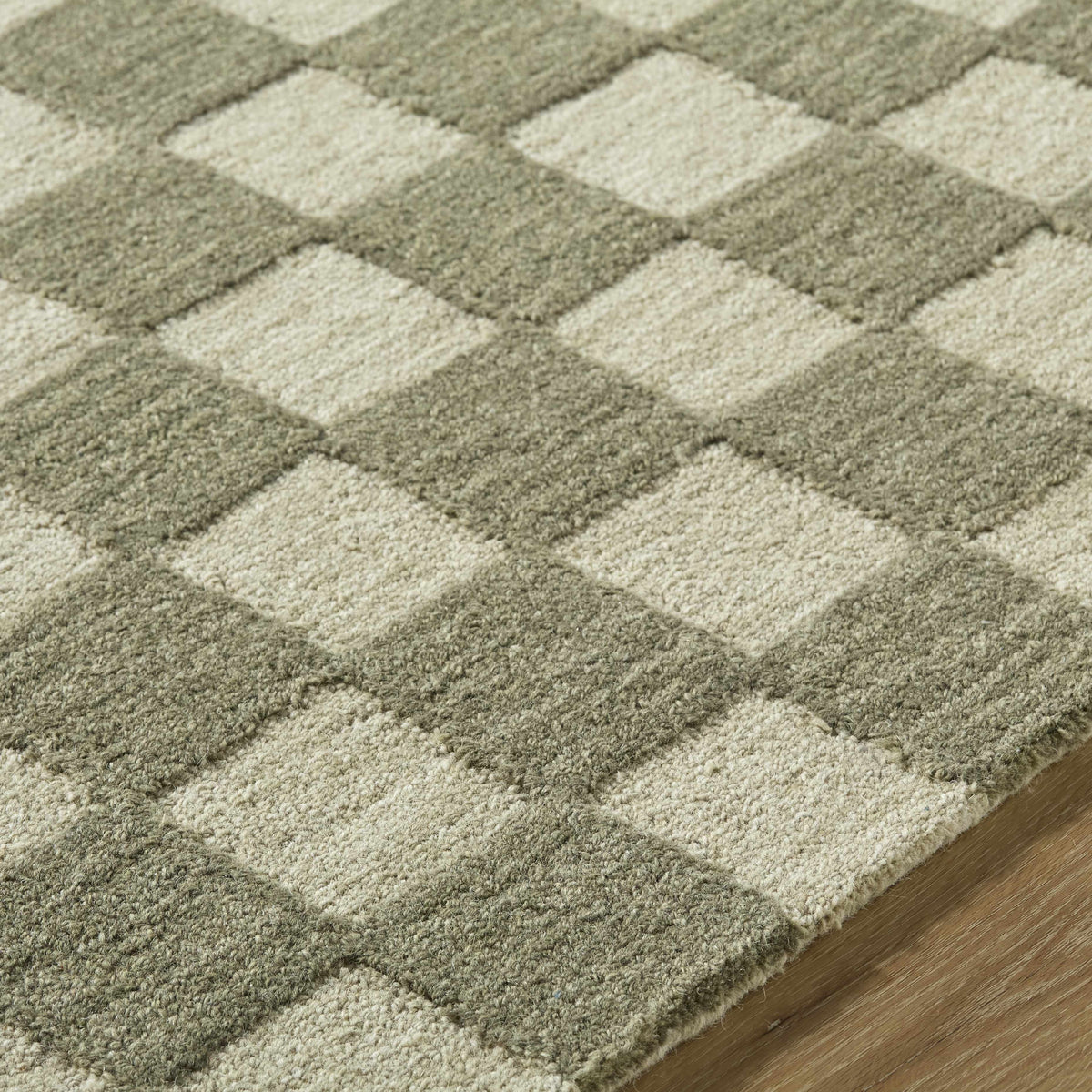Selcuk Hand Tufted Rug