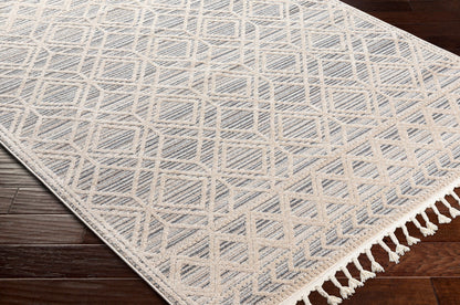 Sofia SFA-2301 8' x 10' Machine Woven Area Rug
