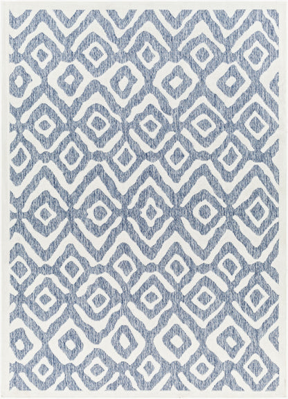 San Diego SFG-2313 5' x 7' Machine Woven Indoor/Outdoor Area Rug