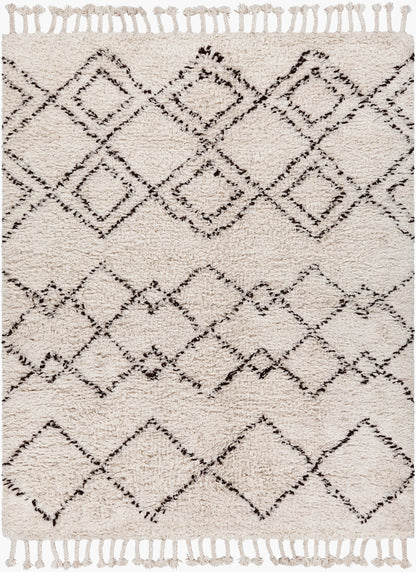 Sherpa SHP-8000 Hand Woven Rug