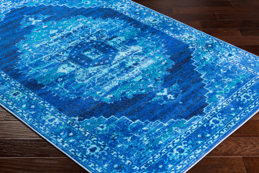 Alfombra decorativa tejida a máquina Silk Road SKR-2318 de 2' x 3'