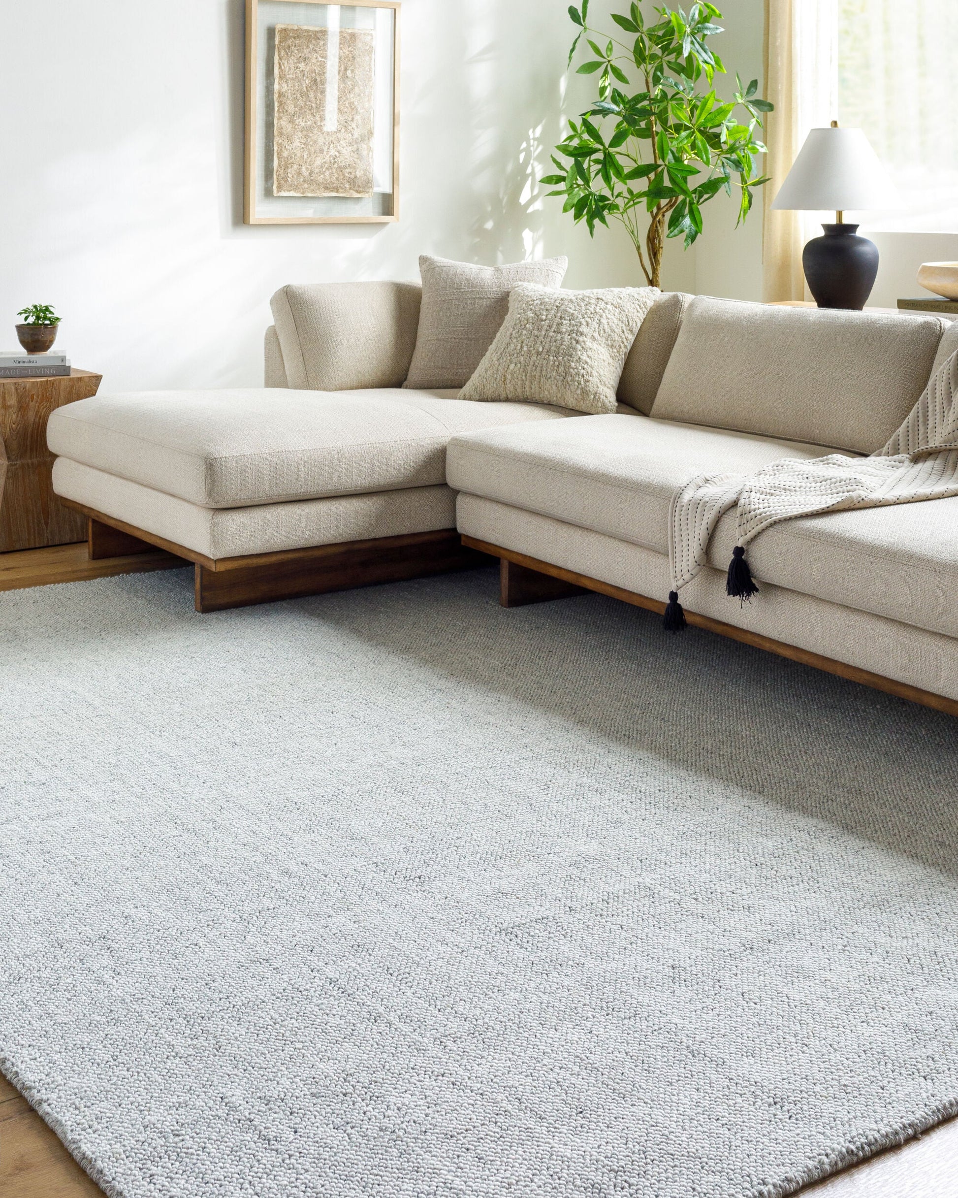 Salome SME-2301 Hand Loomed Rug