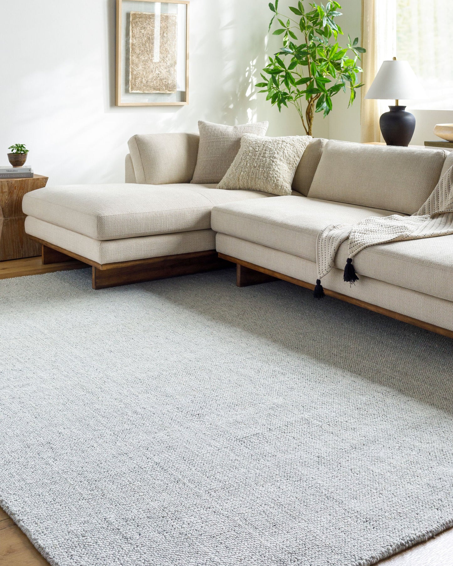 Salome SME-2301 Hand Loomed Rug