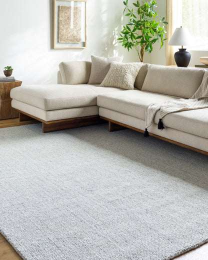 Salome SME-2301 8' x 10' Handmade Recyled Area Rug