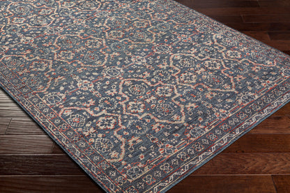 Alfombra de lana hecha a mano Smyrna SMY-2300 de 3 x 4,2 m