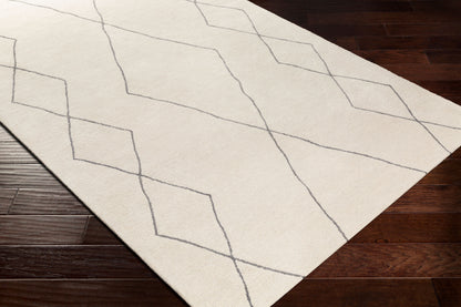 Sinop SNP-2306 2' x 3' Handmade Wool Accent Rug
