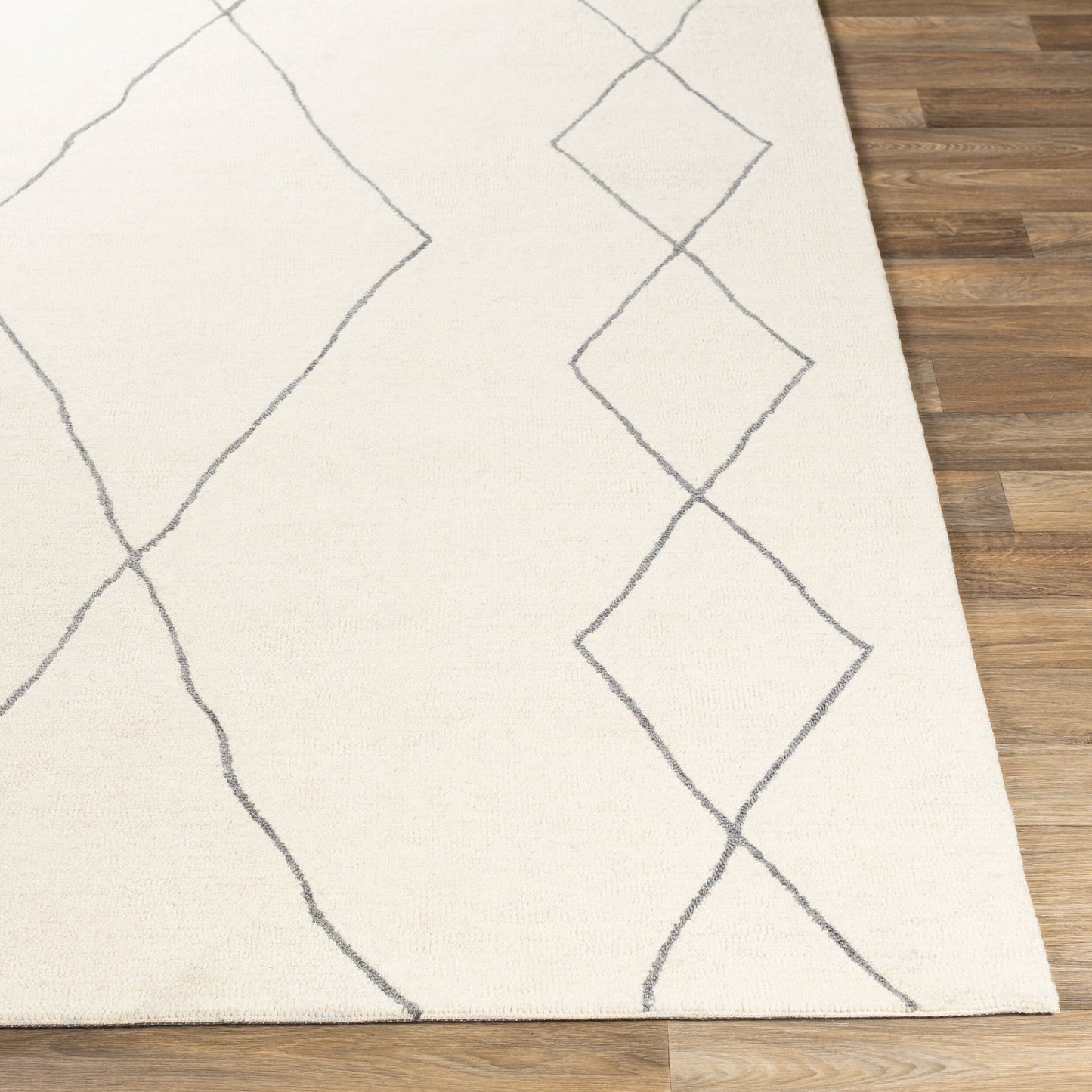 Sinop SNP-2306 2' x 3' Handmade Wool Accent Rug
