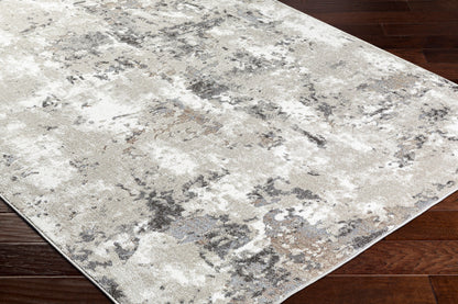 Soldado SOD-2301 5' x 7' Machine Woven Area Rug