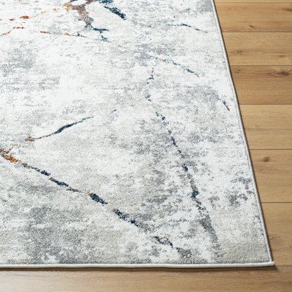 Soldado SOD-2306 2' x 3' Machine Woven Accent Rug