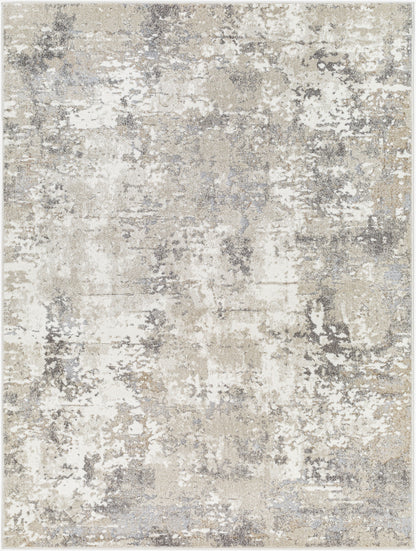 Soldado SOD-2310 5' x 7' Machine Woven Area Rug