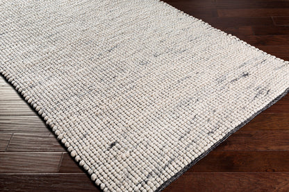 Sierra SRR-2301 2' x 3' Handmade Accent Rug