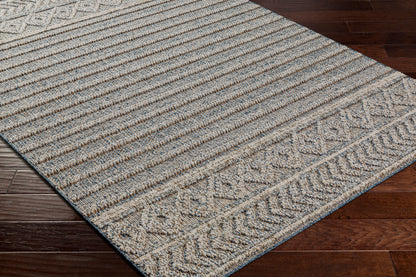 Sarasota SSO-2304 2' x 3' Machine Woven Indoor/Outdoor Accent Rug