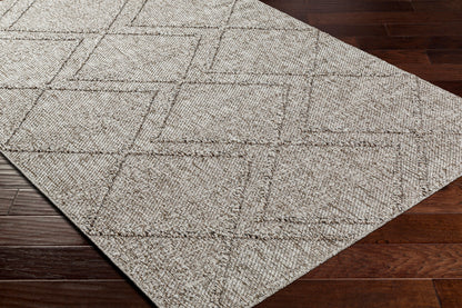 Sarasota SSO-2307 2' x 3' Machine Woven Indoor/Outdoor Accent Rug