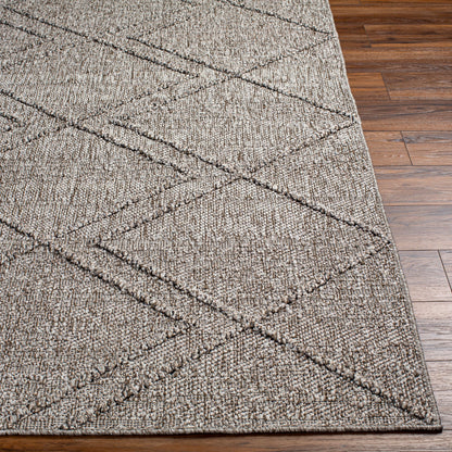 Sarasota SSO-2307 2' x 3' Machine Woven Indoor/Outdoor Accent Rug