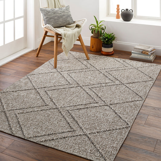 Sarasota SSO-2307 2' x 3' Machine Woven Indoor/Outdoor Accent Rug
