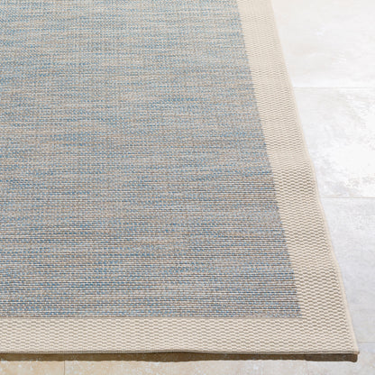 Santa Cruz STZ-6000 5' x 7' Machine Woven Indoor/Outdoor Area Rug