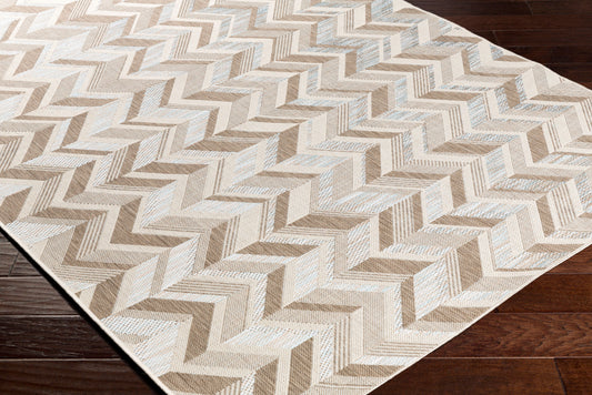 Santa Cruz STZ-6004 5' x 7' Machine Woven Indoor/Outdoor Area Rug