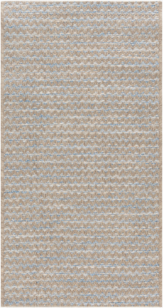 Santa Cruz STZ-6009 2' x 3' Machine Woven Indoor/Outdoor Accent Rug