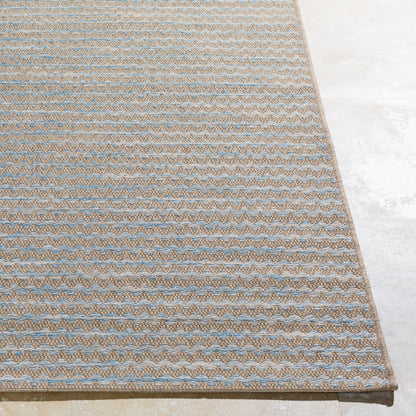 Santa Cruz STZ-6009 2' x 3' Machine Woven Indoor/Outdoor Accent Rug