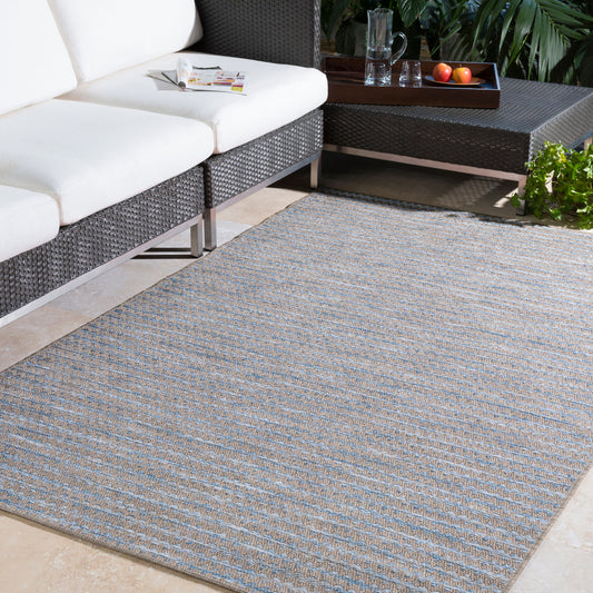 Santa Cruz STZ-6009 2' x 3' Machine Woven Indoor/Outdoor Accent Rug
