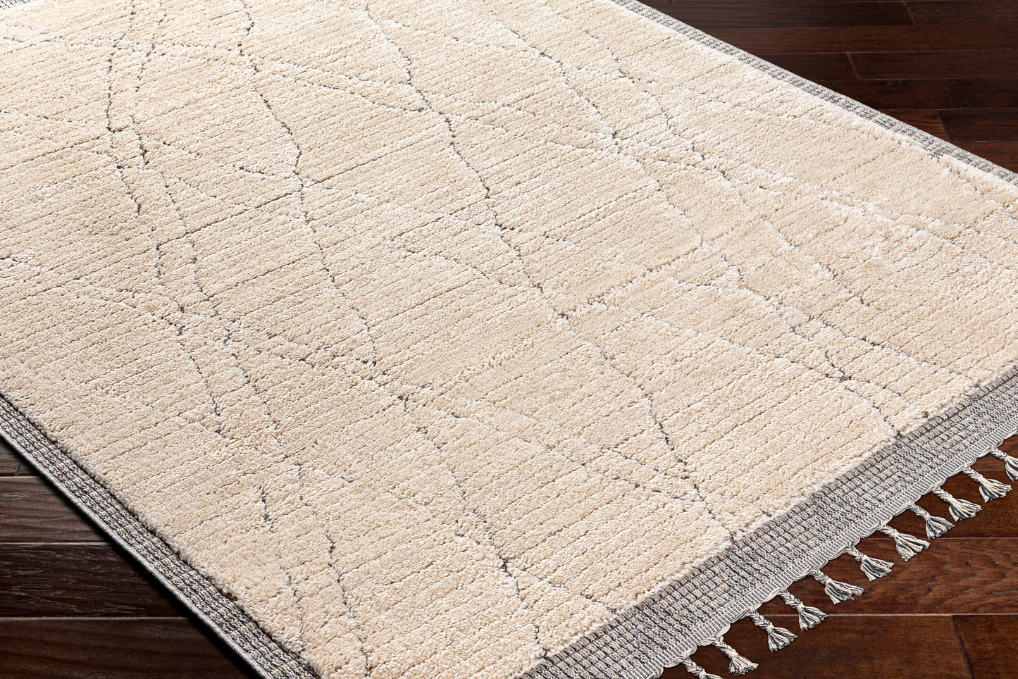 Sousse SUS-2303 7' x 9' Machine Woven Area Rug