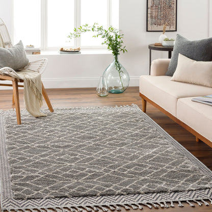 Alfombra tejida a máquina Sousse SUS-2306 de 9' x 12'