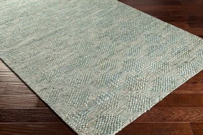 Alfombra decorativa de yute hecha a mano Trace TCE-2305 de 2' x 3'