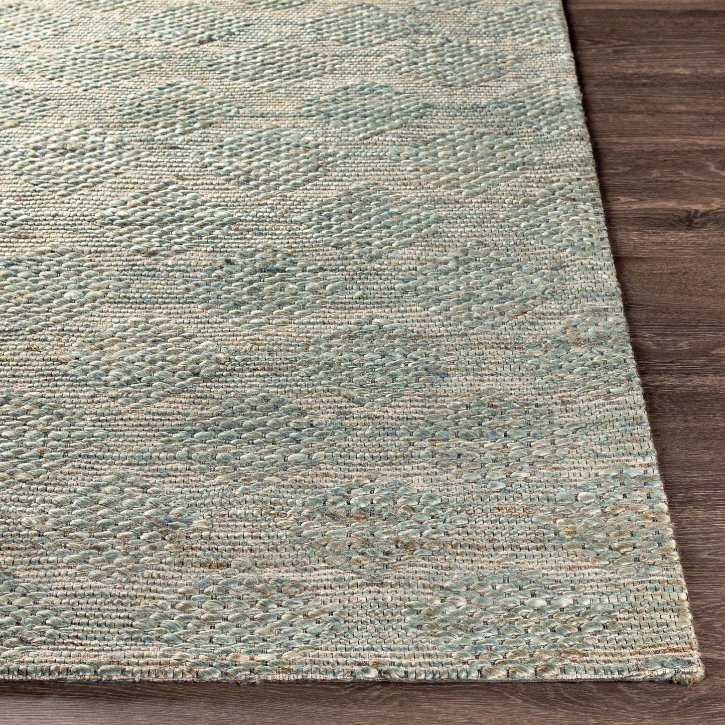 Alfombra decorativa de yute hecha a mano Trace TCE-2305 de 2' x 3'