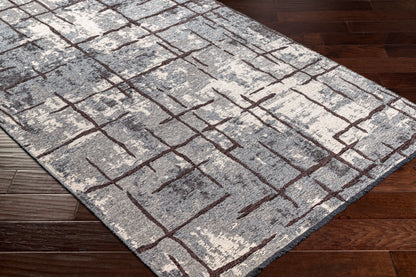 Toscana TCN-2300 8' x 10' Machine Woven Area Rug