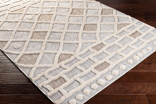 Toledo TLD-2300 5' x 7' Machine Woven Indoor/Outdoor Area Rug
