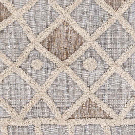 Toledo TLD-2300 5' x 7' Machine Woven Indoor/Outdoor Area Rug