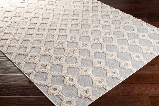 Toledo TLD-2303 5' x 7' Machine Woven Indoor/Outdoor Area Rug