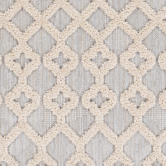 Toledo TLD-2303 5' x 7' Machine Woven Indoor/Outdoor Area Rug