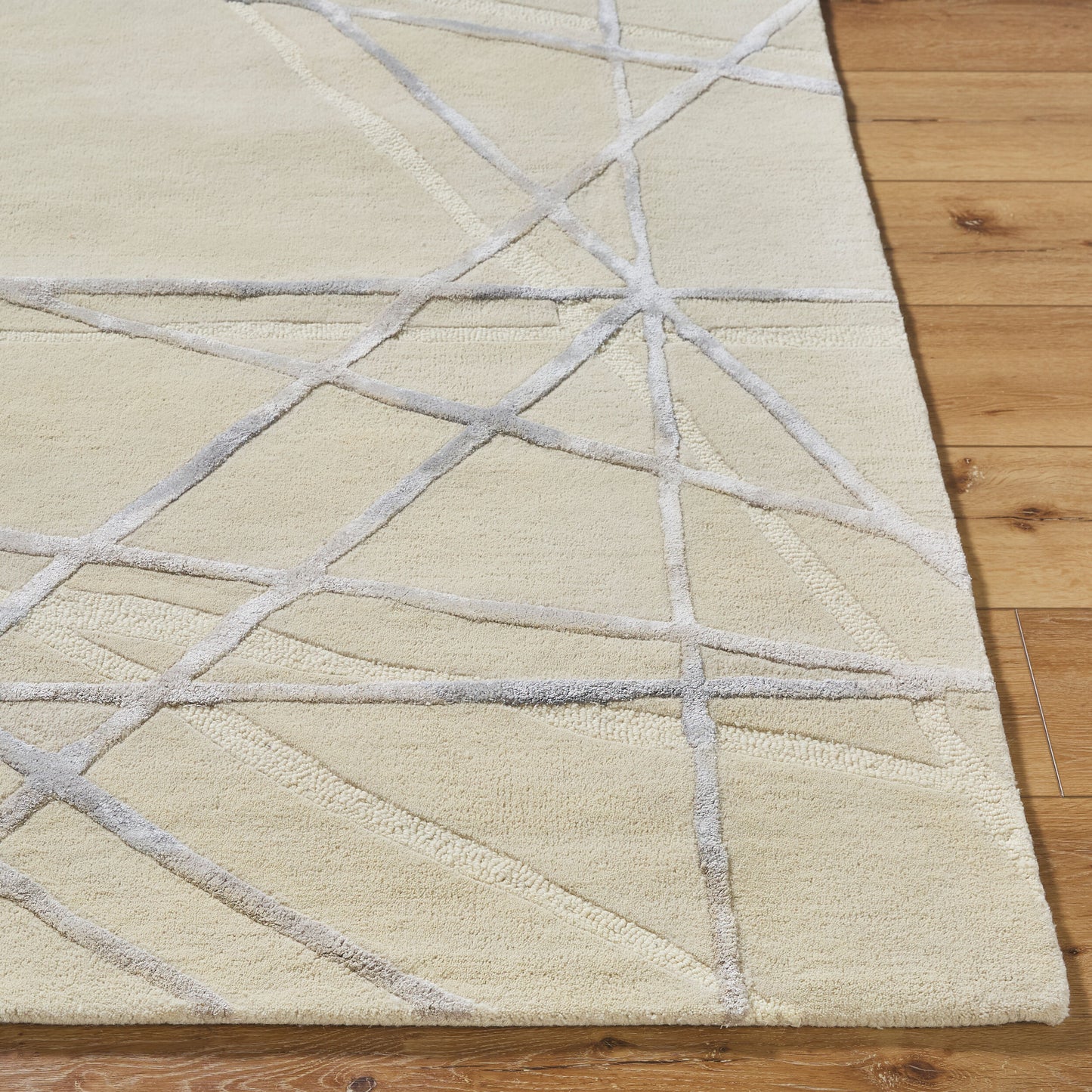 Tallinn TNL-2307 2' x 3' Handmade Accent Rug