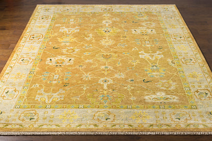 Transcendent TNS-9004 2' x 3' Handmade Wool Accent Rug