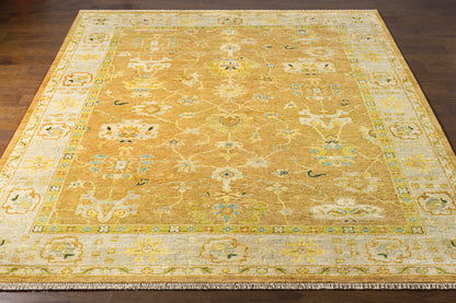 Alfombra de lana Transcendent TNS-9004 de 1,52 m x 2,74 m, hecha a mano